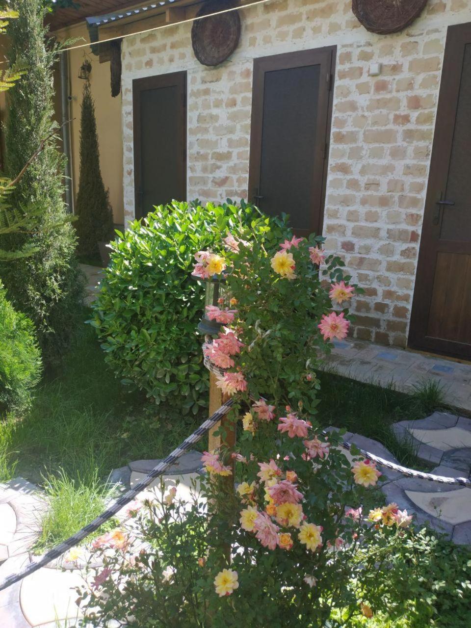 Sim Sim Hostel & Guest House Near The Church Samarkand Exterior foto